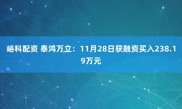 峪科配资 泰鸿万立：11月28日获融资买入238.19万元