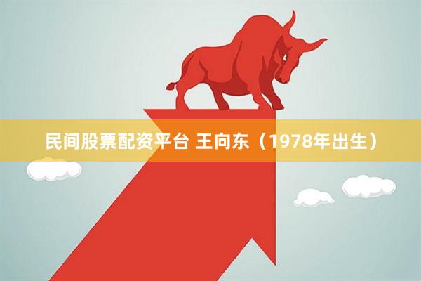 民间股票配资平台 王向东（1978年出生）