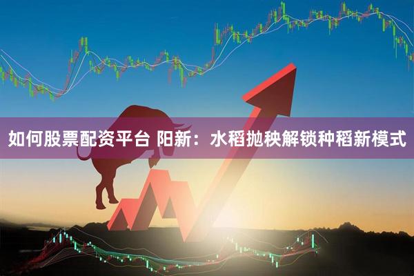 如何股票配资平台 阳新：水稻抛秧解锁种稻新模式